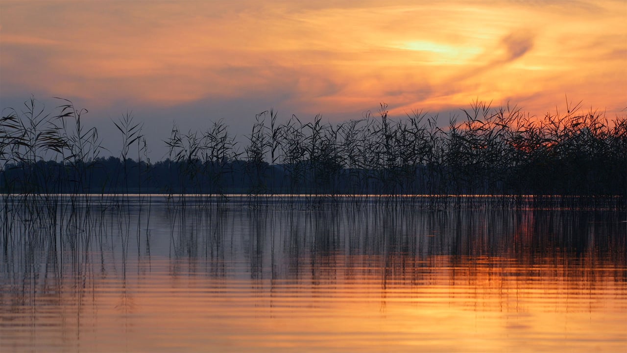 Ežezers Lake in the Latgale region, Latvia (© Eaglewood Films/Nimia)