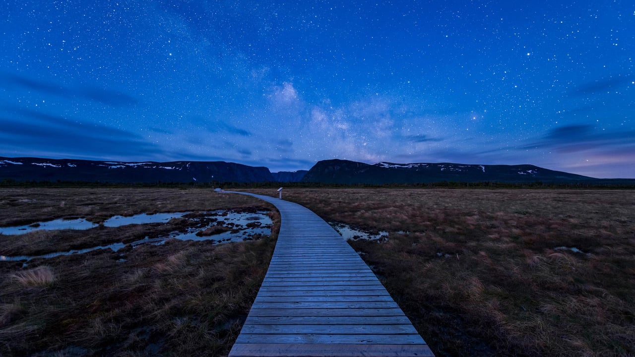 Boardwalk on hiking trail to Western Brook Pond in Gros Morne National Park (© Cavan Images - Offset/Shutterstock)