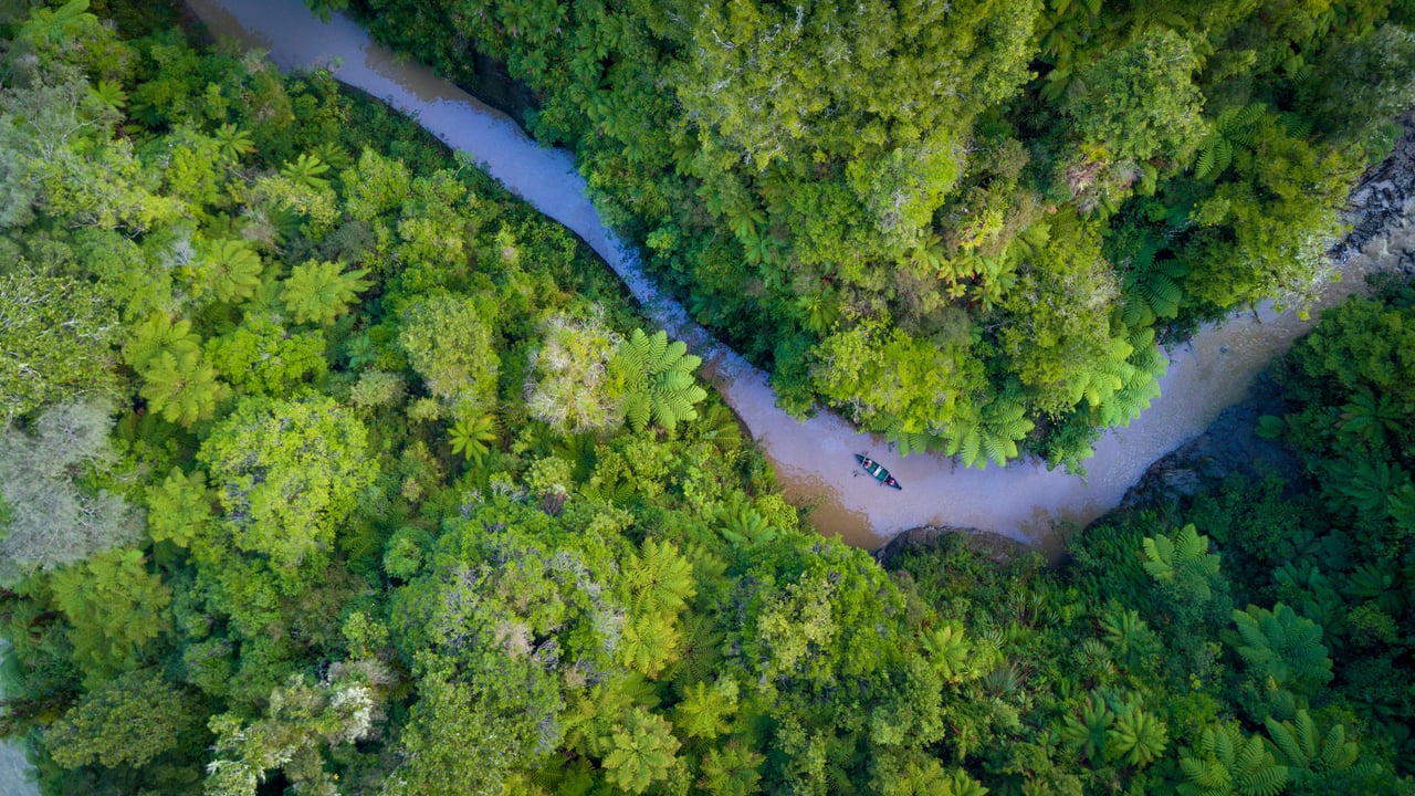 Parc National de Whanganui, Retaruke, Nouvelle-Zélande (© Matthew Micah Wright/Getty Images)