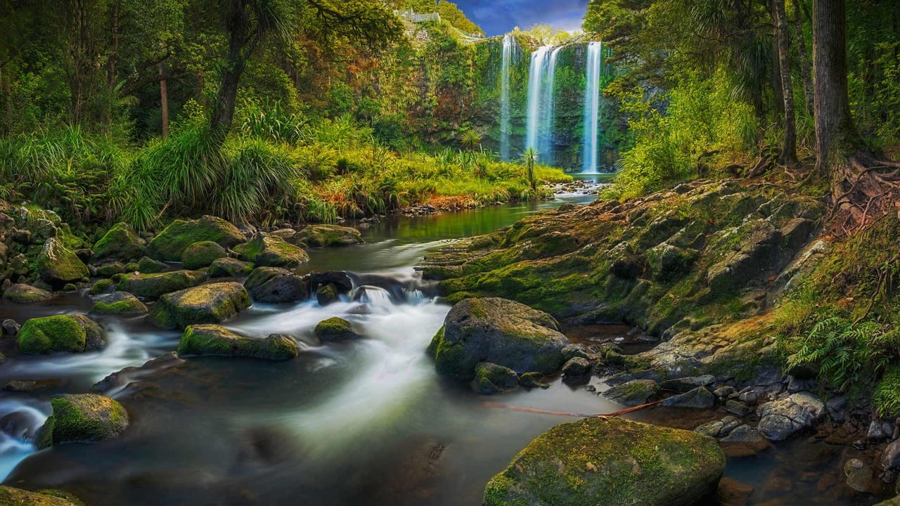 Whangārei Falls near the city of Whangārei, North Island, New Zealand (© Nathan Kavumbura/Getty Images)