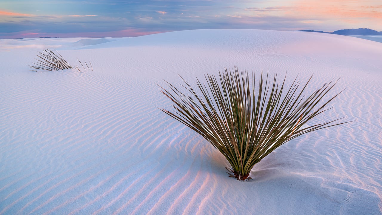 Parc National des White Sands, Nouveau-Mexique, États-Unis (© Francesco Carucci/Getty Images)