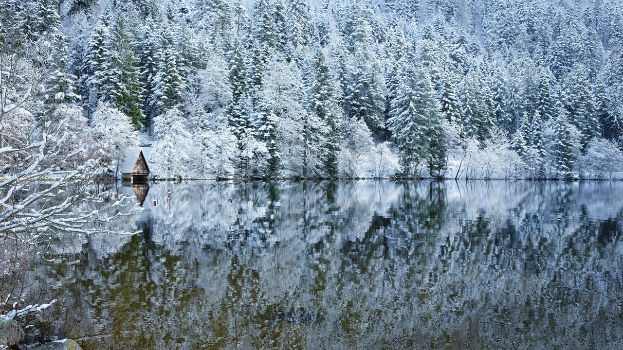 Le lac de Longemer dans les Vosges, Lorraine, France. (© art4stock/Shutterstock)