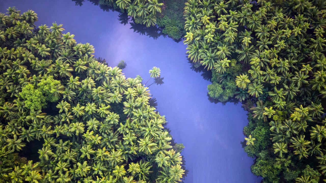 Xic Xelvona village in South Goa, India (© Brandon van Son/TANDEM Stills + Motion)