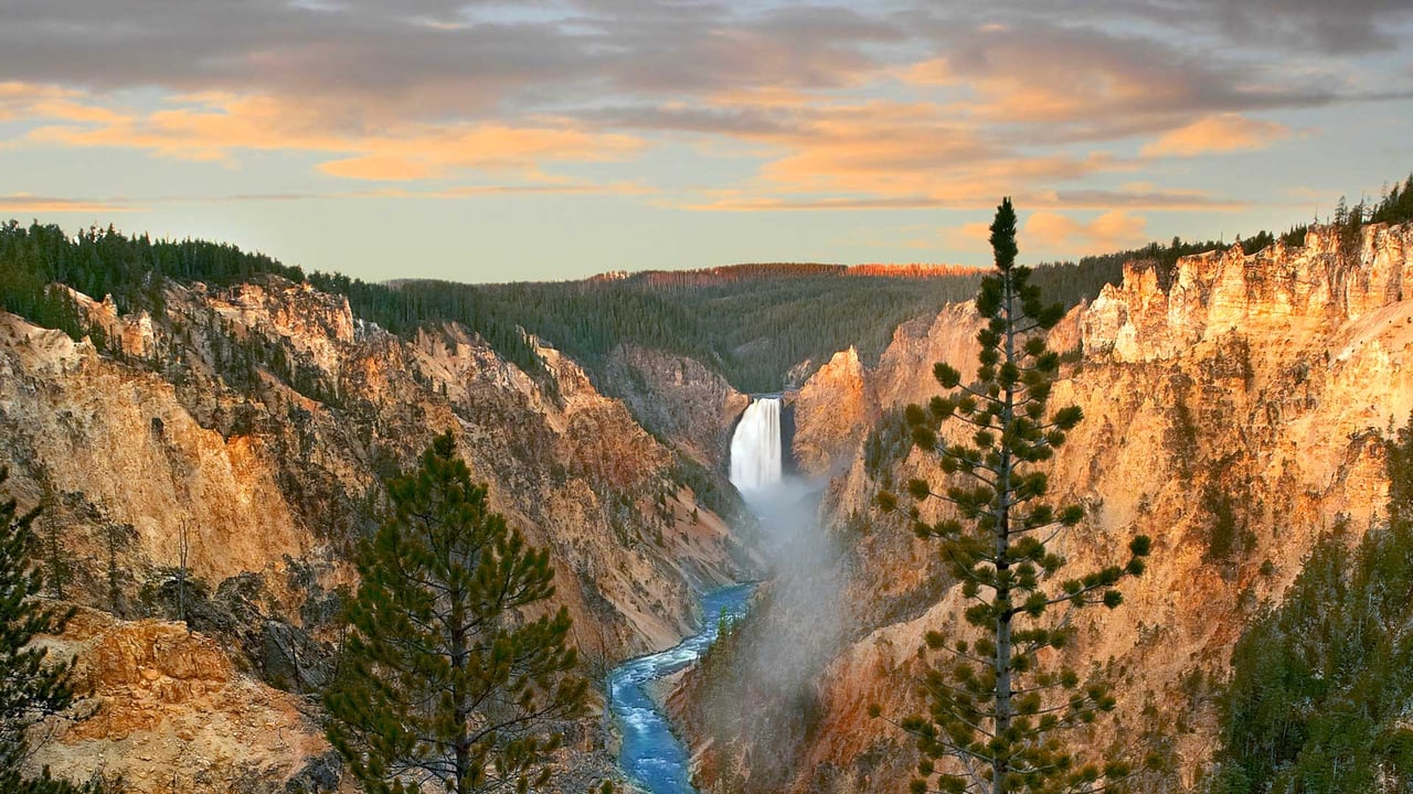 Lower Yellowstone Falls, Yellowstone National Park, Wyoming (© Tim Fitzharris/Minden Pictures)
