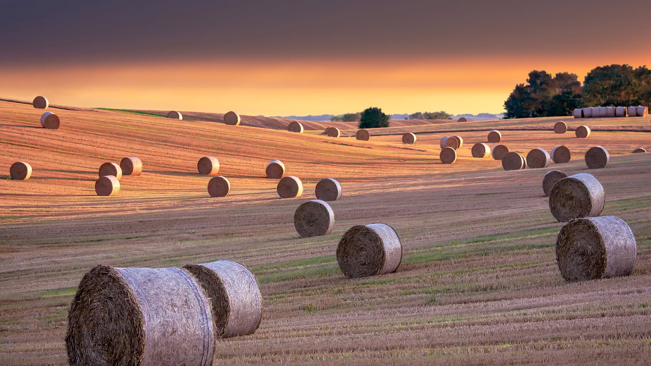 Fardos de feno, North Yorkshire, Inglaterra (© Nick Brundle Photography/Getty Images)