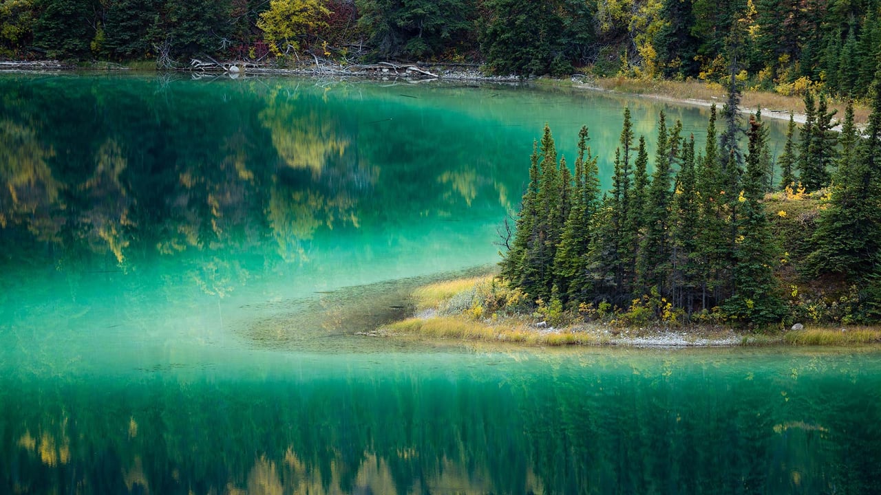 Emerald Lake near Carcross, Yukon Territories (© David Noton Photography/Alamy Stock Photo)