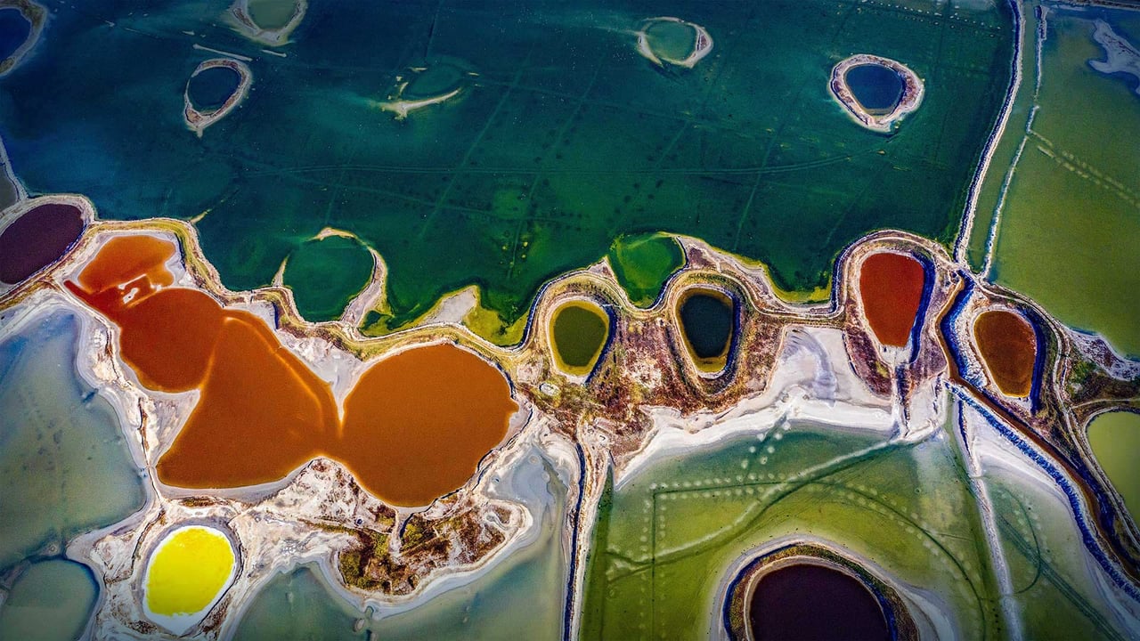 Xiechi Lake in Yuncheng, Shanxi province, China (© Xinhua/Alamy)