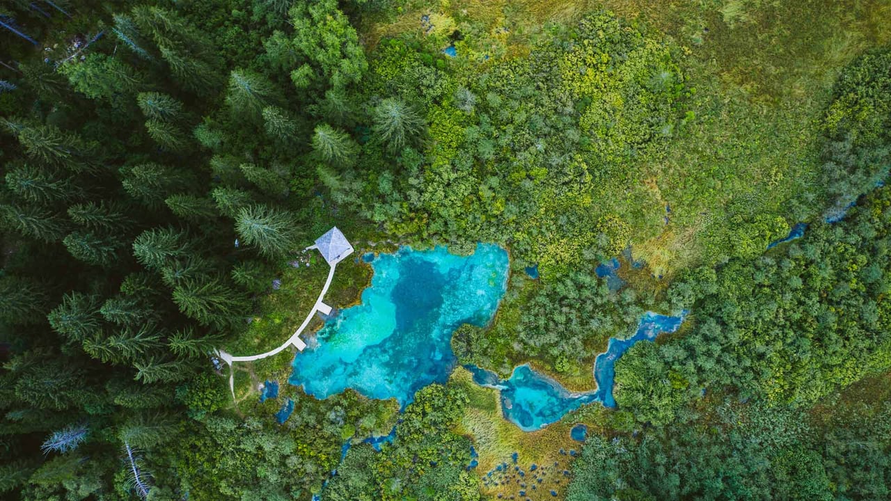 Zelenci Nature Reserve, Slovenia (© Andrey Danilovich/Getty Images)