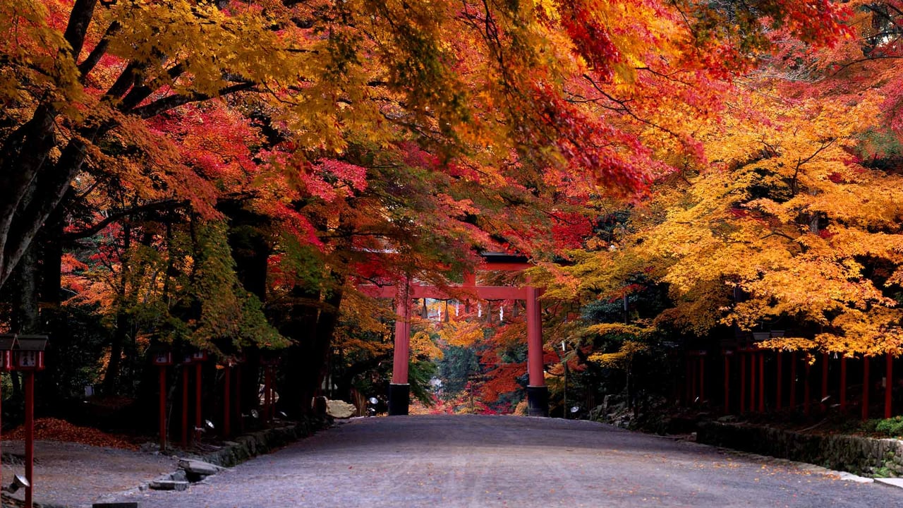 ｢日吉大社｣滋賀, 大津市 (© JTB Photo/age fotostock)