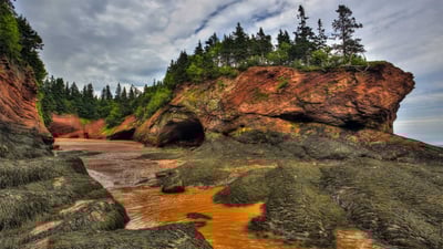 Bing wallpaper August 15, 2020. Caves and coastal features at low tide on the Bay of Fundy, near St. Martins, New Brunswick, Canada (© Jamie Roach/Shutterstock)