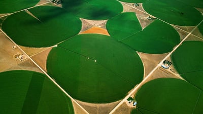 Bing wallpaper March 14, 2019. Circular agricultural fields in Morgan County, Colorado (© Jim Wark/Getty Images)