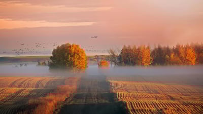 Bing wallpaper October 14, 2019. Sunrise in Alberta, Canada (© Ambre Haller/Moment/Getty Images)