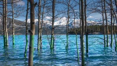 Bing wallpaper April 14, 2021. ｢アブラハム湖｣カナダ, アルバータ州 (© Coolbiere/Getty Images)