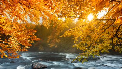 Bing wallpaper October 13, 2025. River rapids in Algonquin Provincial Park, Ontario (© Pgiam/Getty Images)