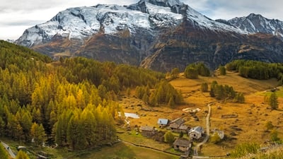 Bing wallpaper November 16, 2025. Forêt de mélèzes dorés, Alpes (© Jose Manuel Perez/Getty Images)