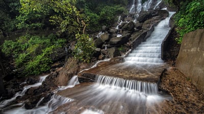 Bing wallpaper August 21, 2021. Waterfall in Amboli, Maharashtra, India (© ePhotocorp/iStock/Getty Images Plus)