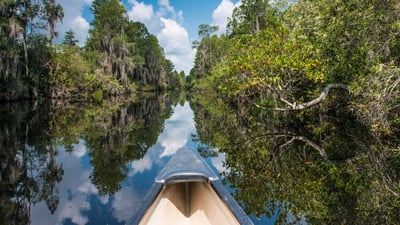 Bing wallpaper May 16, 2023. Canoeing in Okefenokee National Wildlife Refuge, Georgia (© Brad Beck/Tandem Stills + Motion)
