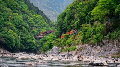 Bing wallpaper May 15, 2025. 保津川沿いに走るトロッコ列車, 京都 (© Alvin Huang/Getty Images)