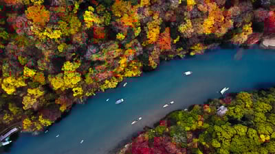 Bing wallpaper December 9, 2021. 大堰川の紅葉, 京都 嵐山 (© Anupong Sakoolchai/Moment/Getty Images)