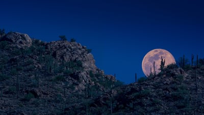 Bing wallpaper April 5, 2023. Moon rising, Tucson, Arizona (© Tim Murphy/Shutterstock)