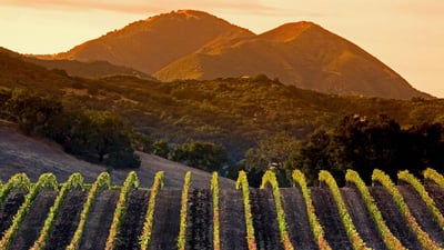 Bing wallpaper September 9, 2019. Central Coast vineyards in Arroyo Grande, California (© Ian Shive/Tandem Motion + Stills)