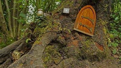 Bing wallpaper January 18, 2022. Ashdown Forest, home of Winnie-the-Pooh, England (© Mark Phillips/Alamy)