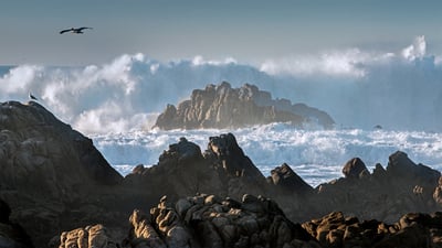 Bing wallpaper November 24, 2020. Huge waves crashing on rocks along Asilomar State Beach, Pacific Grove, California (© Sheila Haddad/Danita Delimont)