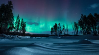Bing wallpaper January 15, 2024. Geomagnetic storm at night, Penticton, British Columbia, Canada (© DEEPOL by plainpicture/Preserved Light Photography)