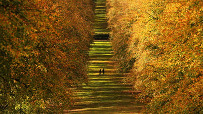 Bing wallpaper October 25, 2023. Stormont Estate, Northern Ireland (© Brian Lawless/PA Images/Getty Images)