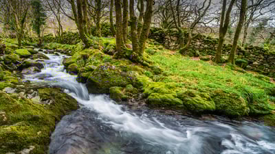 Bing wallpaper February 23, 2023. Croesor Valley, Snowdonia National Park, Wales, UK (© Matthew Williams-Ellis/Plainpicture)