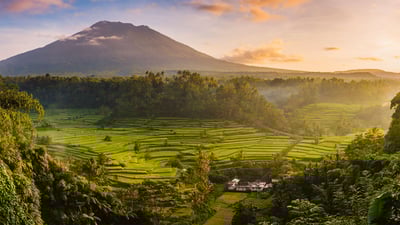 Bing wallpaper May 14, 2020. Rice fields in the Sidemen Valley, with Mount Agung in the background, Bali, Indonesia (© Jon Arnold/Danita Delimont)