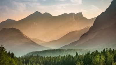 Bing wallpaper April 24, 2021. Mist rises over the forest in Banff National Park, Alberta (© Pgiam/Getty Images)