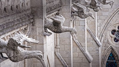 Bing wallpaper October 28, 2020. Grotesques of Ecuadorian seabirds on the Basílica del Voto Nacional in Quito, Ecuador (© Henri Leduc/Getty Images)