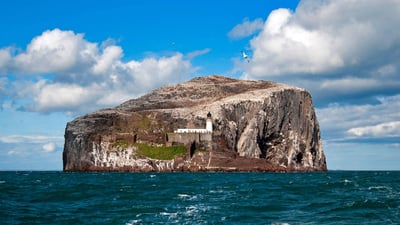 Bing wallpaper June 2, 2019. The Bass Rock in Scotland’s Firth of Forth (© Richard Shucksmith/Minden Pictures)