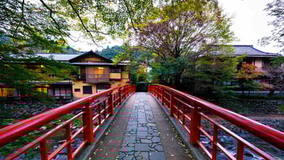 Bing wallpaper November 25, 2023. 修善寺温泉街, 静岡県 伊豆市 (© JaCZhou 2015/Getty Images)