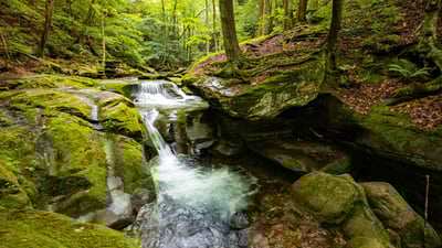 Bing wallpaper July 16, 2023. Bear Hole Brook, Catskill Mountains, New York (© GummyBone/Getty Images)