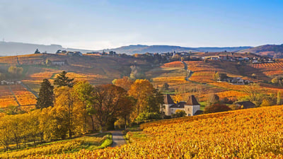 Bing wallpaper November 21, 2019. Lantignié in the Beaujolais region of France (© Jon Arnold/Danita Delimont)