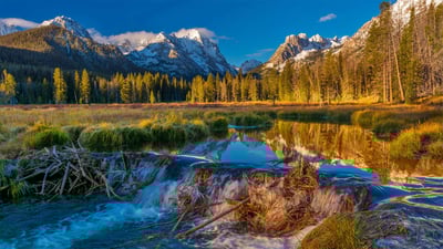 Bing wallpaper September 5, 2020. Beaver dam in the Sawtooth National Forest, Idaho (© Charles Knowles/Alamy)