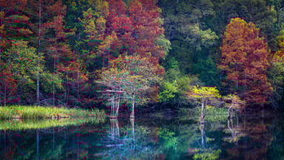 Bing wallpaper November 12, 2021. Beavers Bend Resort Park near Broken Bow, Oklahoma (© Inge Johnsson/Alamy)