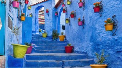 Bing wallpaper January 10, 2026. Murs bleus de Chefchaouen, Maroc (© AnetteAndersen/Getty Images)