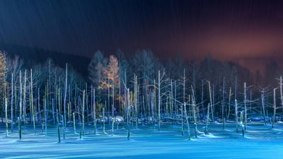 Bing wallpaper December 20, 2024. ライトアップされた青い池, 北海道 美瑛町 (© Sean Pavone/Alamy Stock Photo)