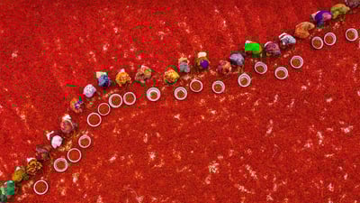 Bing wallpaper January 16, 2022. Sorting chili peppers at a farm in Bogra, Bangladesh (© Amazing Aerial Agency/Offset/Shutterstock)