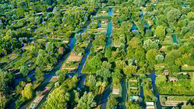 Bing wallpaper October 28, 2023. ブールジュの沼地, フランス (© Tuul & Bruno Morandi/Getty Images)