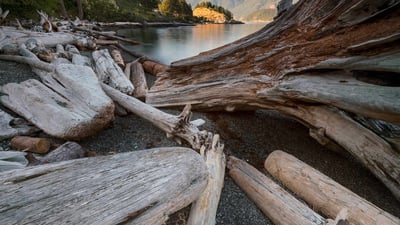 Bing wallpaper August 25, 2020. Sunset at Bowen Island, B.C. (© Jason Wilde/Tandem Stills + Motion)