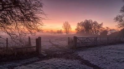Bing wallpaper December 26, 2023. Winter sunrise in Dedham, Colchester, England (© George W Johnson/Getty Images)