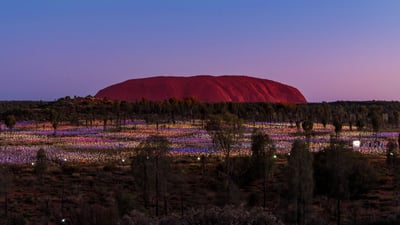 Bing wallpaper July 25, 2021. 'Field of Light' by artist Bruce Munro at Uluru, Australia (© Sheralee Stoll/Alamy)