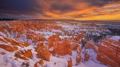 Bing wallpaper February 25, 2023. Hoodoos at Bryce Canyon National Park, Utah (© Piriya Photography/Getty Images)