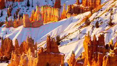 Bing wallpaper February 25, 2025. Sandstone hoodoos, Bryce Canyon National Park, Utah (© Stephen Matera/TANDEM Stills + Motion)