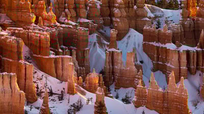 Bing wallpaper March 12, 2024. Bryce Canyon National Park, Utah (© Jim Patterson/Tandem Stills + Motion)