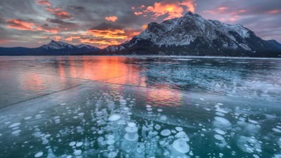 Bing wallpaper January 10, 2025. Abraham Lake, Alberta, Canada (© Basic Elements Photography/Getty Images)